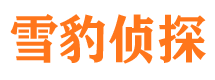 八道江市调查公司